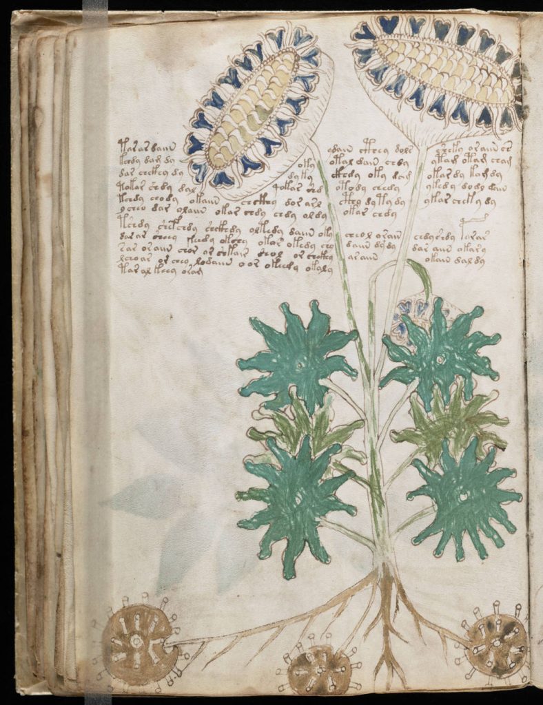 The Voynich Manuscript - Secret Codes