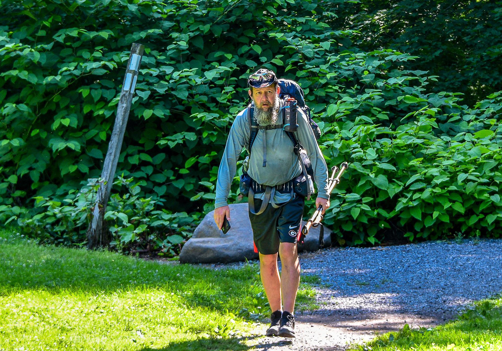 a hiker on the appalachian trail