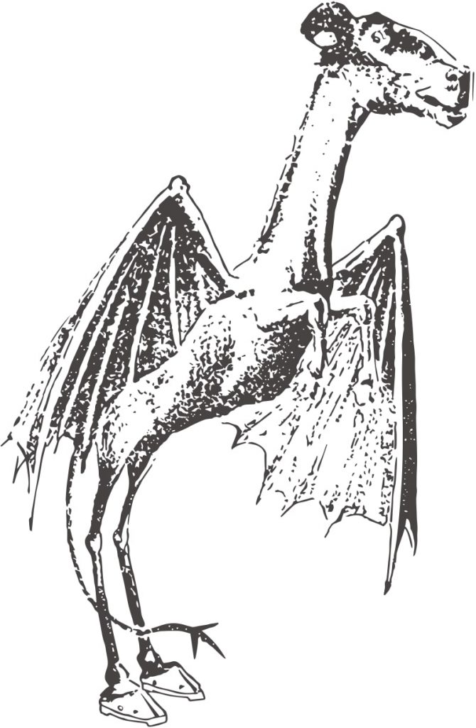 a depiction of the jersey devil