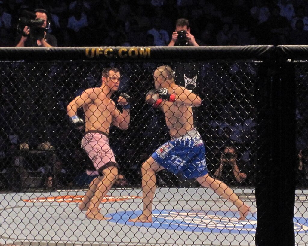 UFC Fight in cage